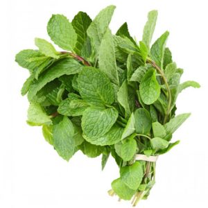 Mint Leaves (1 Bunch)
