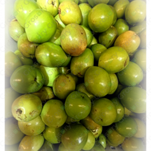 Fresh Fruit Jujube (1 Lb)